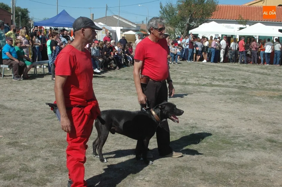 Foto 5 - La Feria de Artesan&iacute;a y Alimentaci&oacute;n, y la Feria Canina de Villar de Peralonso cumplen las...