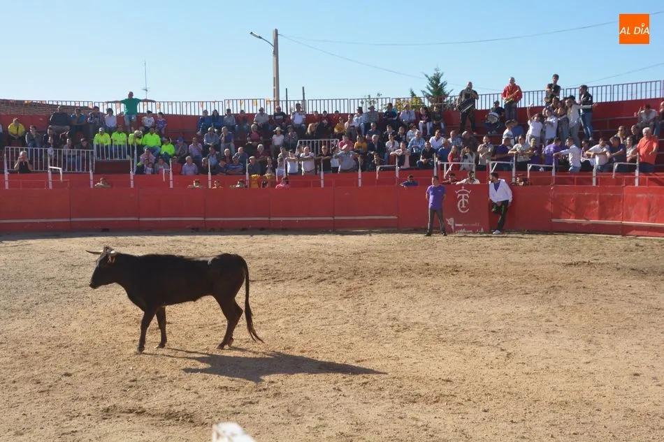 Foto 9 - Santiz disfruta de su domingo `torero&acute; en el d&iacute;a de su patr&oacute;n