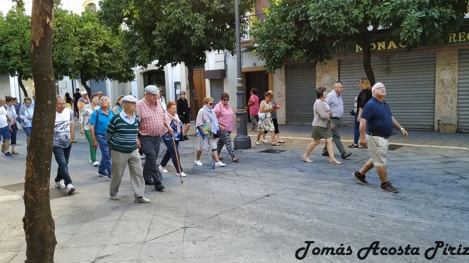 Foto 10 - Cerca de 70 jubilados de Navasfr&iacute;as y El Payo descubren la provincia de C&aacute;diz  