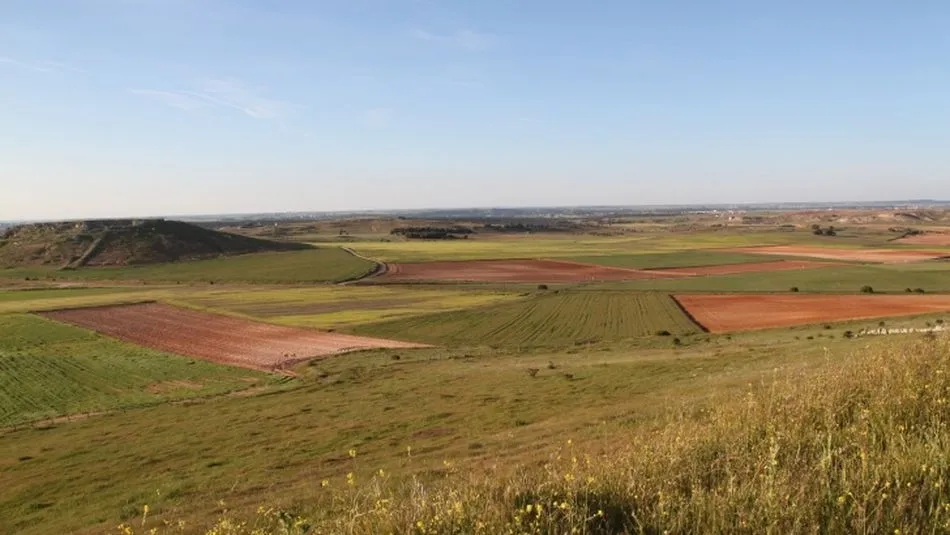 Parcelas de secano en Salamanca