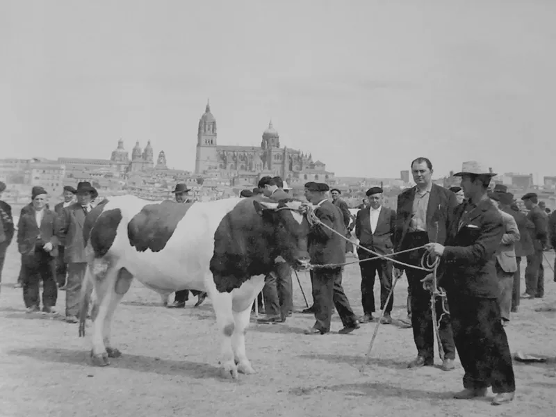 Foto 2 - Las Fiestas de Salamanca a mediados del XX
