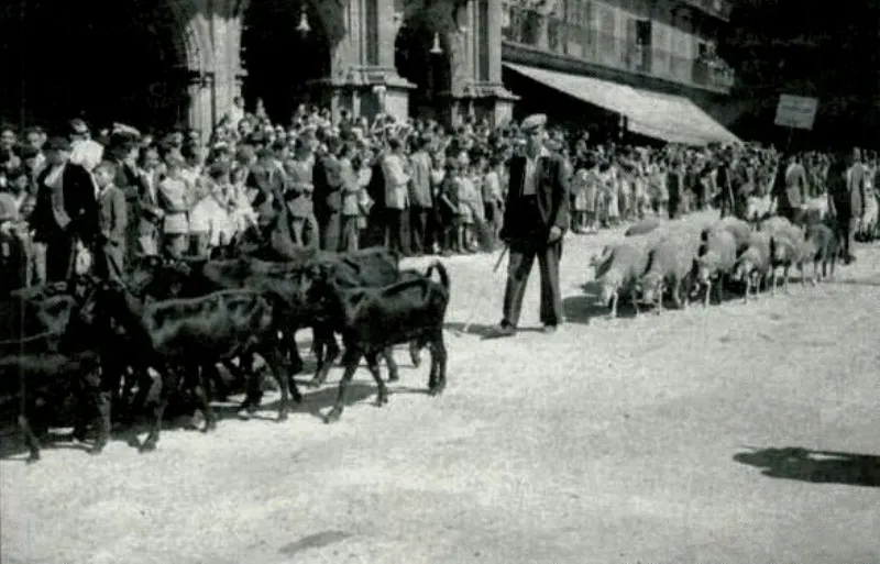 Foto 5 - La Plaza Mayor, escenario de las Ferias y Fiestas