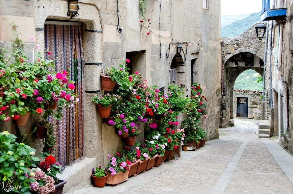 Las piedras, las flores… y la historia