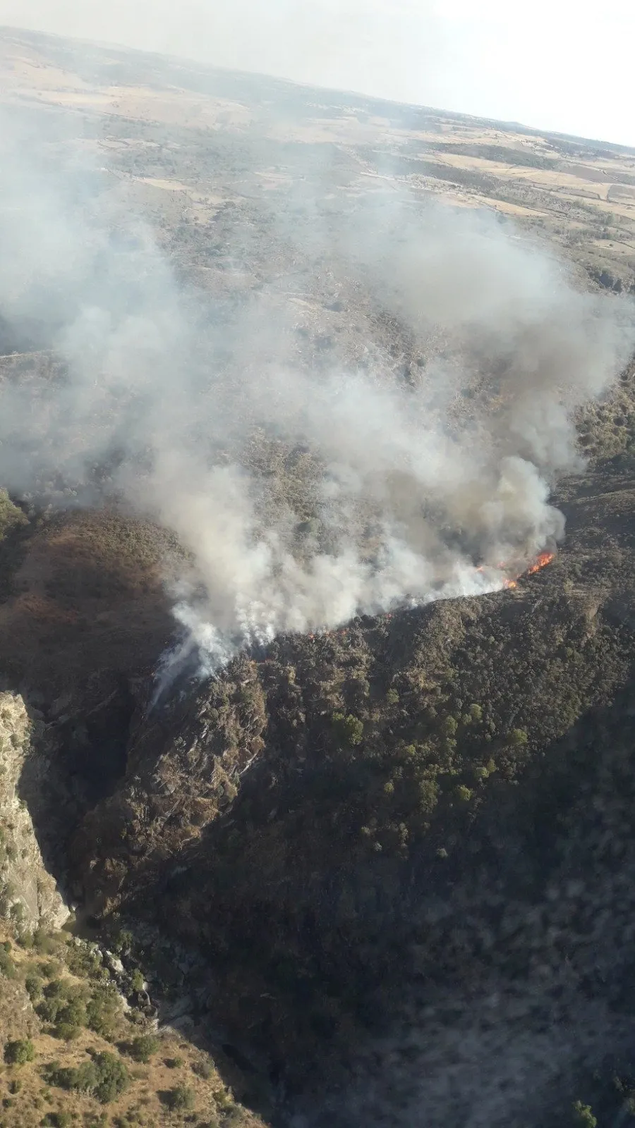 Foto 3 - Declarado un incendio en Hinojosa de Duero  