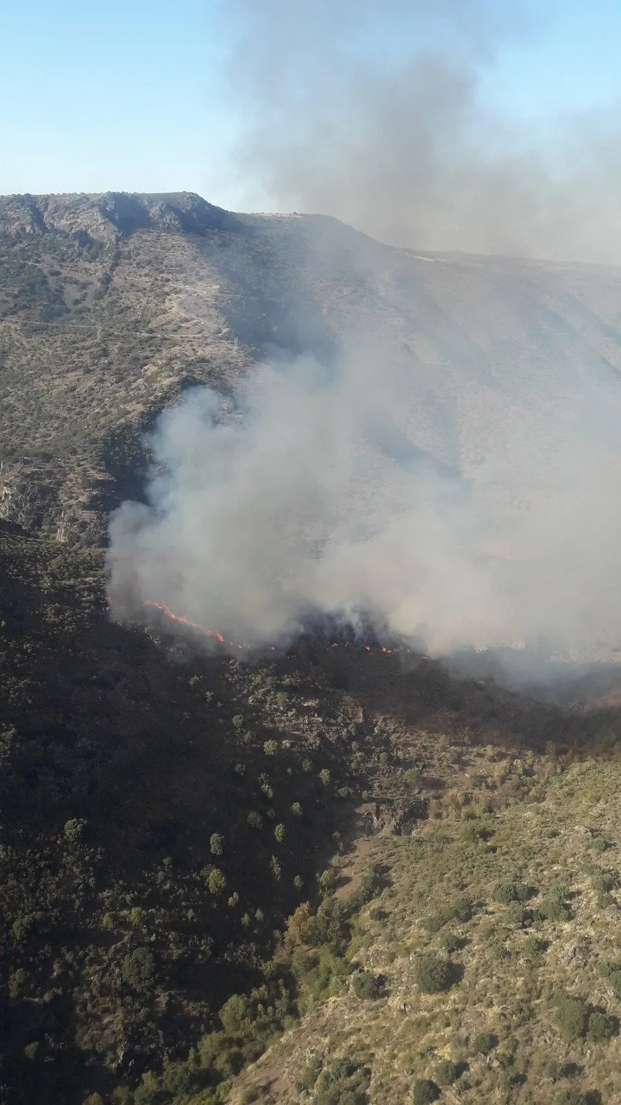 Foto 2 - Declarado un incendio en Hinojosa de Duero  