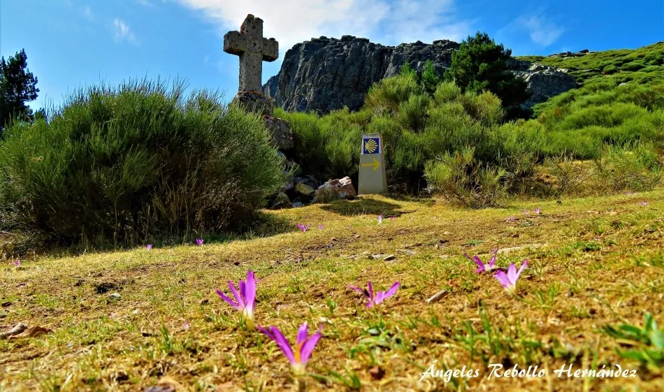 Lo pequeño ofrecido