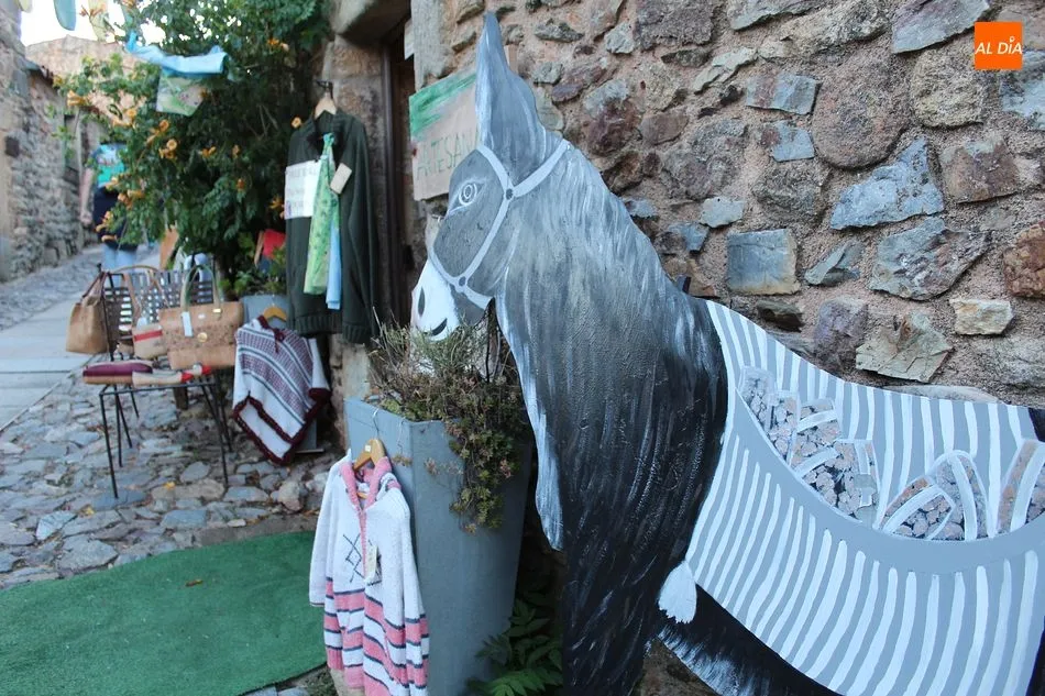 Foto 4 - &lsquo;12 en Red&rsquo; organiza un fin de semana de animaci&oacute;n en Castelo Rodrigo  