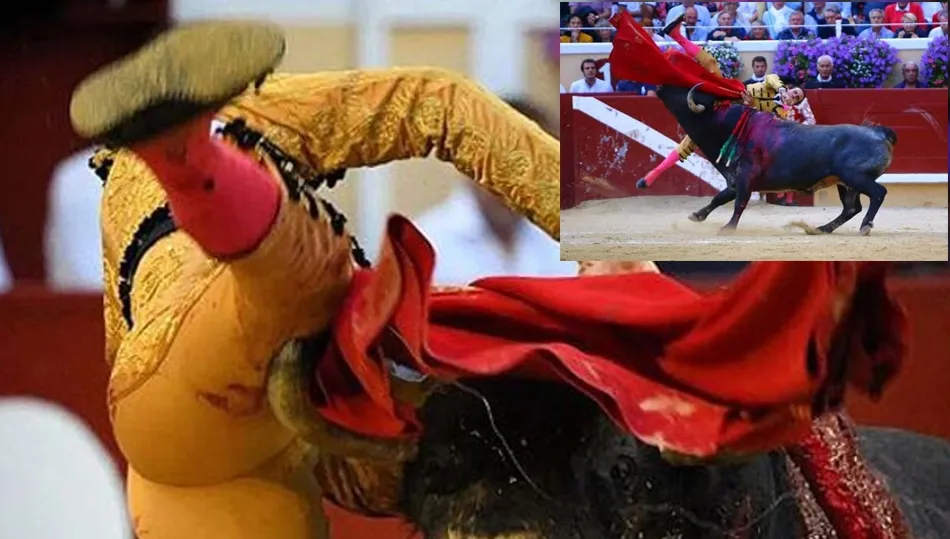 Momento en el que el pitón se hunde en el muslo de Galdós / FOTO- PRENSA GALDÓS