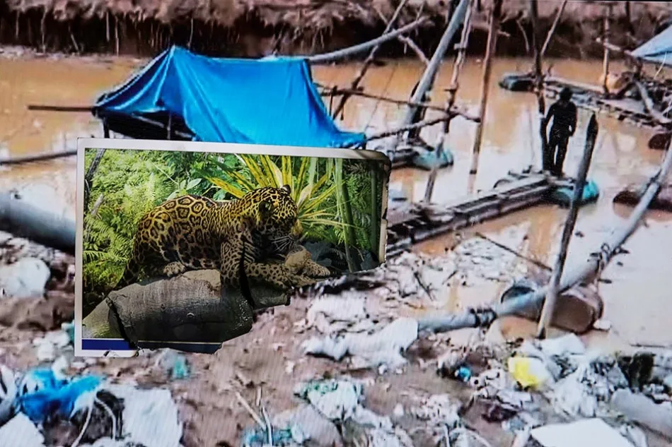 Foto 6 - Versos de Alencart para propuesta fotogr&aacute;fica de Robertho Paredes sobre la Amazon&iacute;a herida