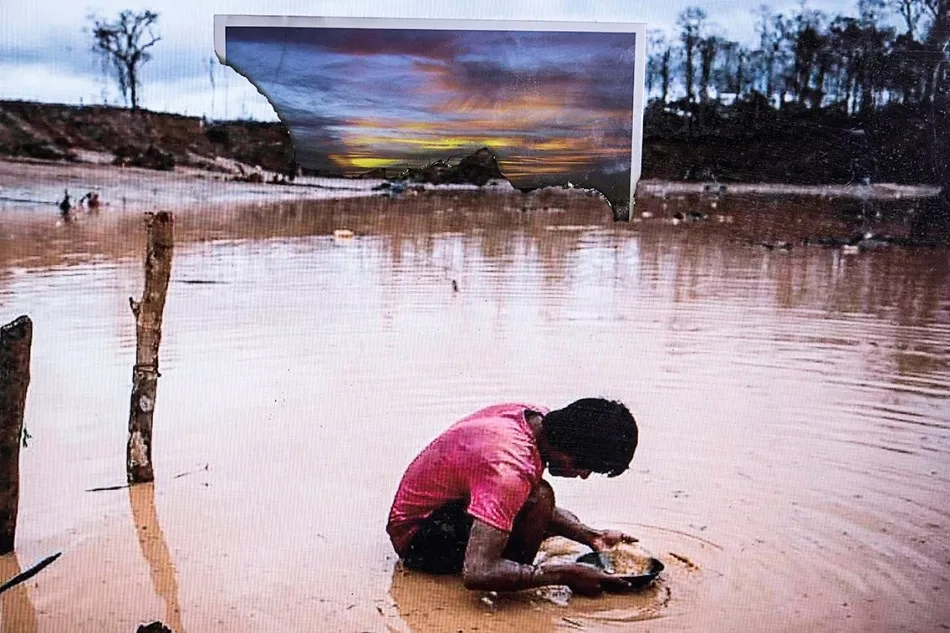 Foto 4 - Versos de Alencart para propuesta fotogr&aacute;fica de Robertho Paredes sobre la Amazon&iacute;a herida