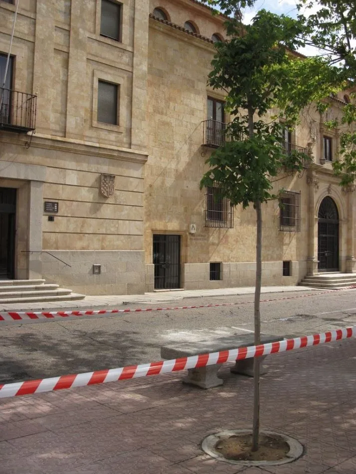 Foto 9 - Defensores del Patrimonio piden la recuperaci&oacute;n de &aacute;rboles perdidos en Los Bandos