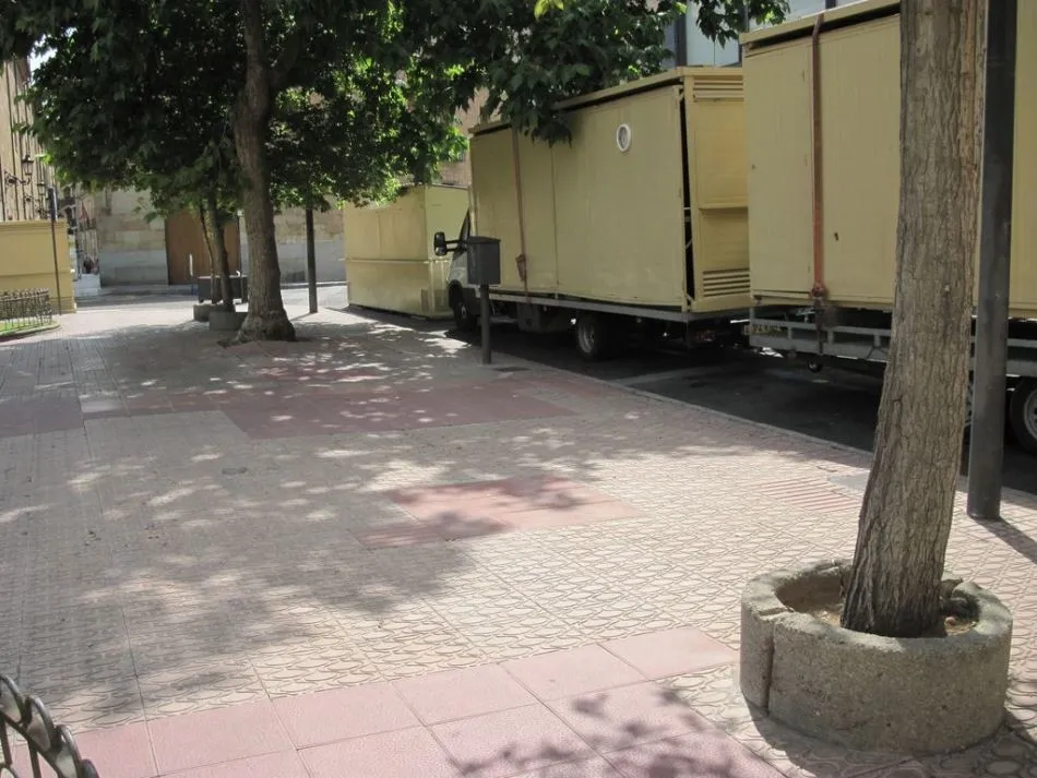 Foto 7 - Defensores del Patrimonio piden la recuperaci&oacute;n de &aacute;rboles perdidos en Los Bandos