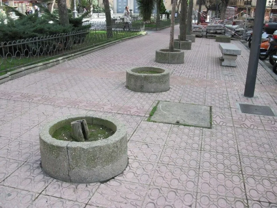 Foto 6 - Defensores del Patrimonio piden la recuperaci&oacute;n de &aacute;rboles perdidos en Los Bandos