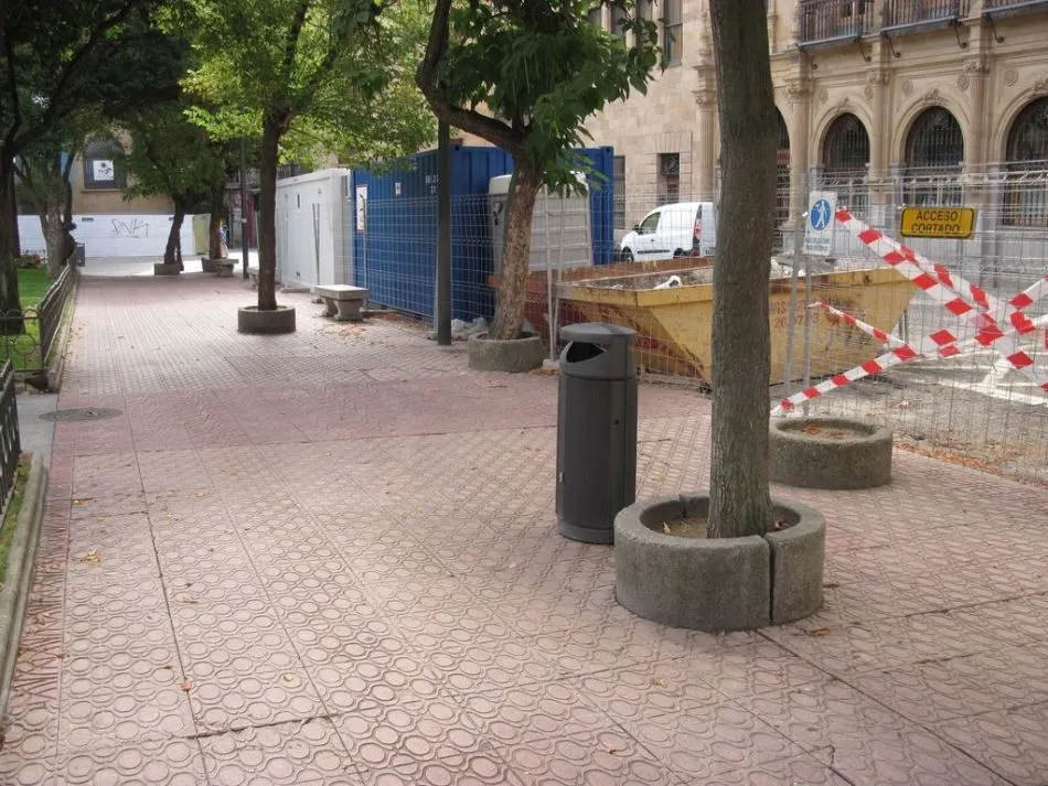 Foto 5 - Defensores del Patrimonio piden la recuperaci&oacute;n de &aacute;rboles perdidos en Los Bandos