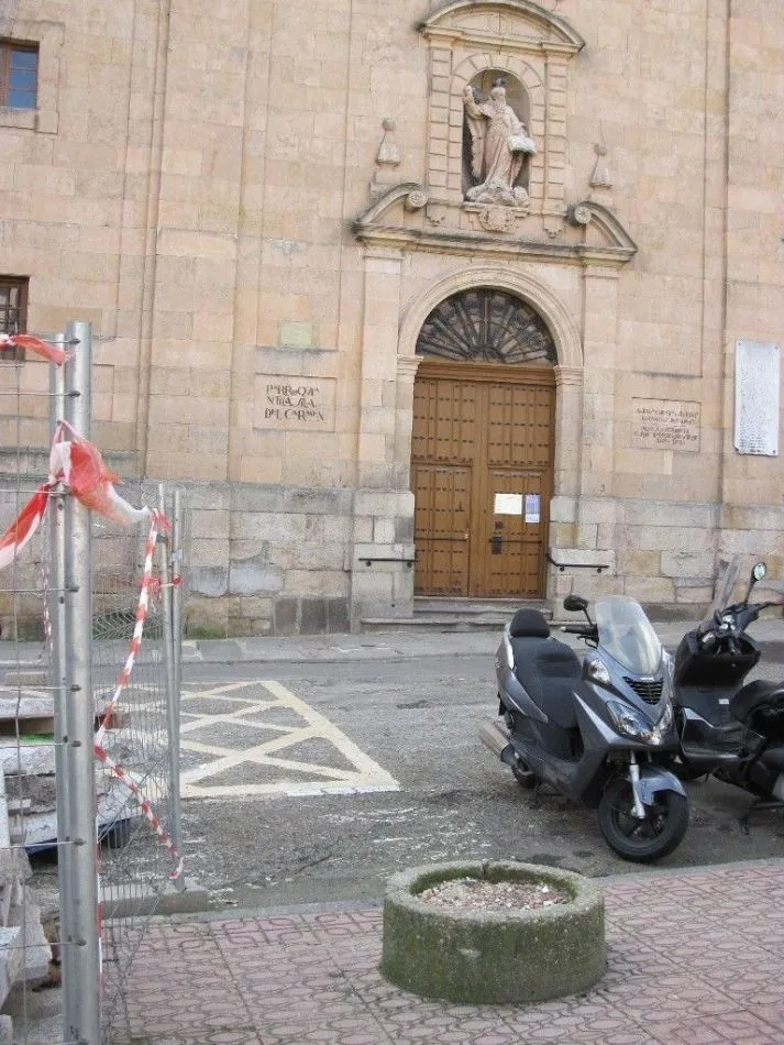 Foto 4 - Defensores del Patrimonio piden la recuperaci&oacute;n de &aacute;rboles perdidos en Los Bandos
