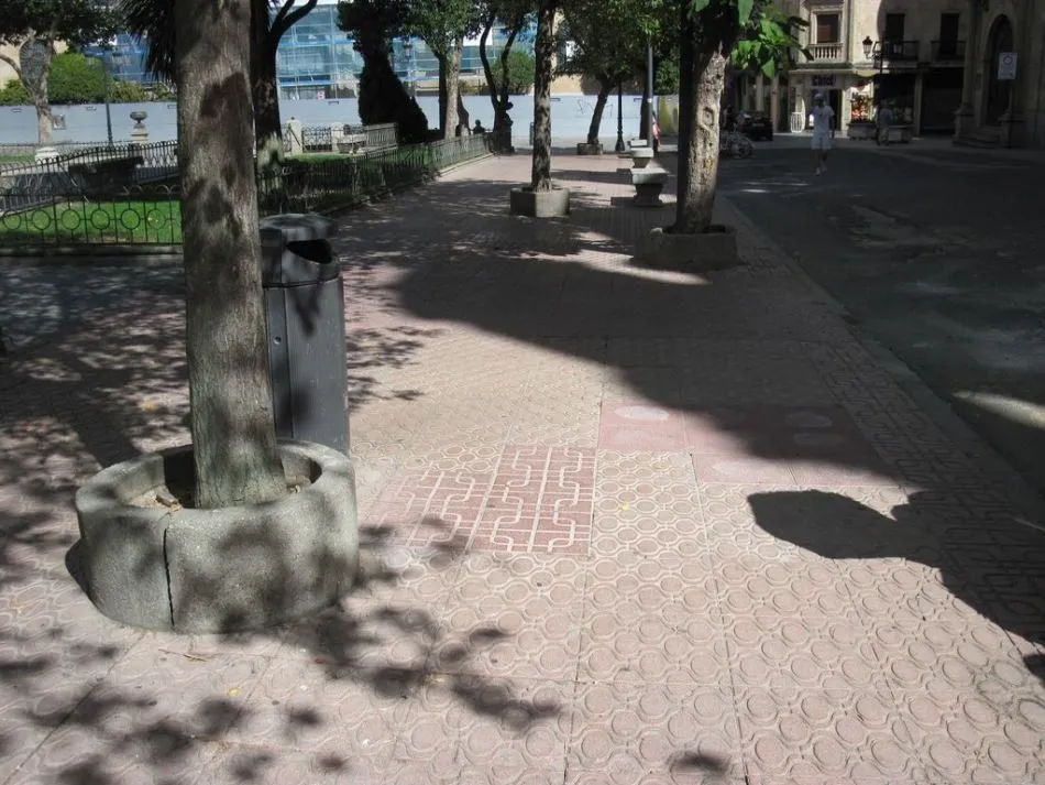 Foto 3 - Defensores del Patrimonio piden la recuperaci&oacute;n de &aacute;rboles perdidos en Los Bandos