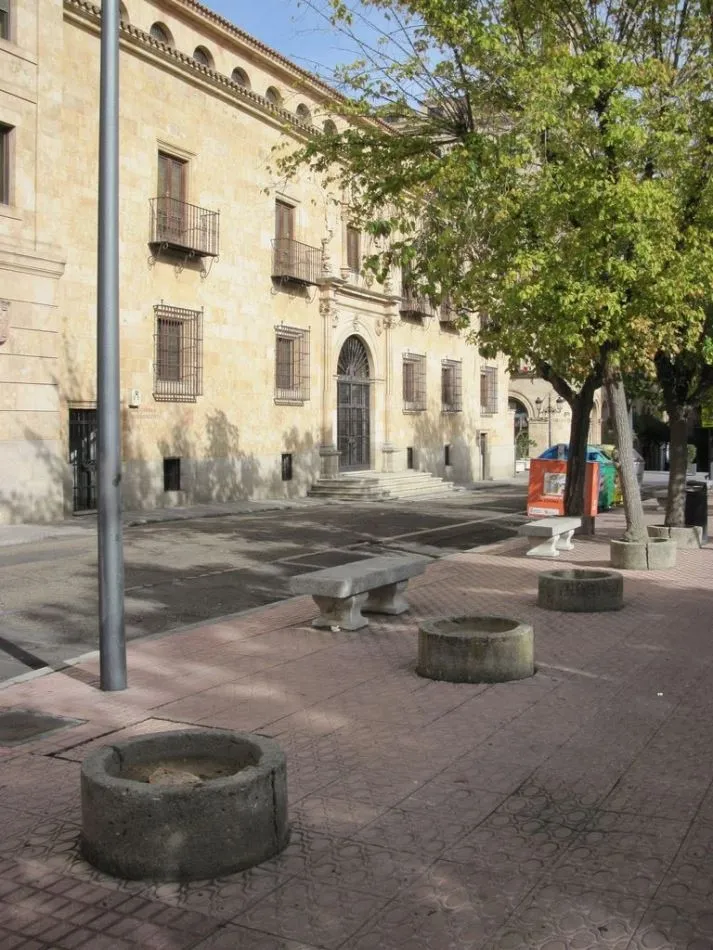 Foto 2 - Defensores del Patrimonio piden la recuperaci&oacute;n de &aacute;rboles perdidos en Los Bandos