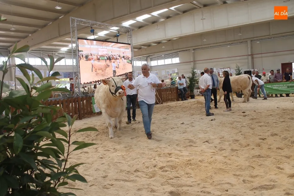 Foto 4 - &lsquo;Gabacha&rsquo;, del salmantino Alberto Mart&iacute;n, y &lsquo;Jordania&rsquo;, campeonas del Concurso Nacional de ...