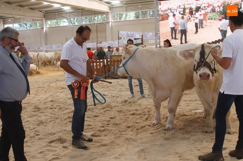 Foto 2 - &lsquo;Gabacha&rsquo;, del salmantino Alberto Mart&iacute;n, y &lsquo;Jordania&rsquo;, campeonas del Concurso Nacional de ...