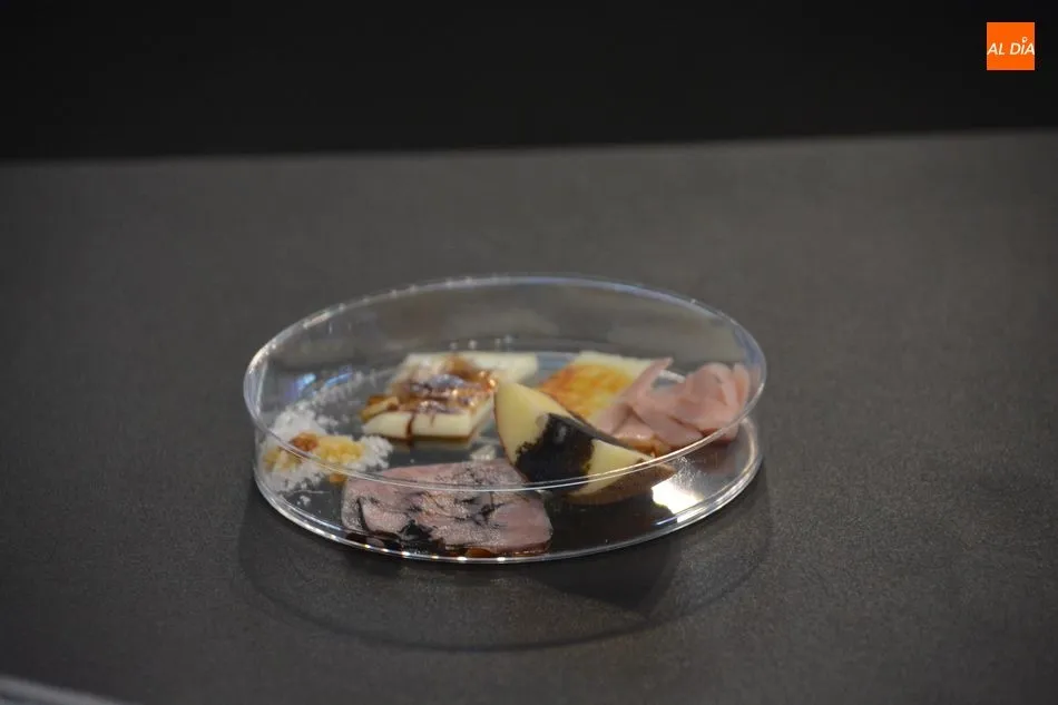 Foto 10 - &lsquo;La ciencia de lo que comemos&rsquo;, interesante y divulgativo taller sobre alimentos&nbsp;