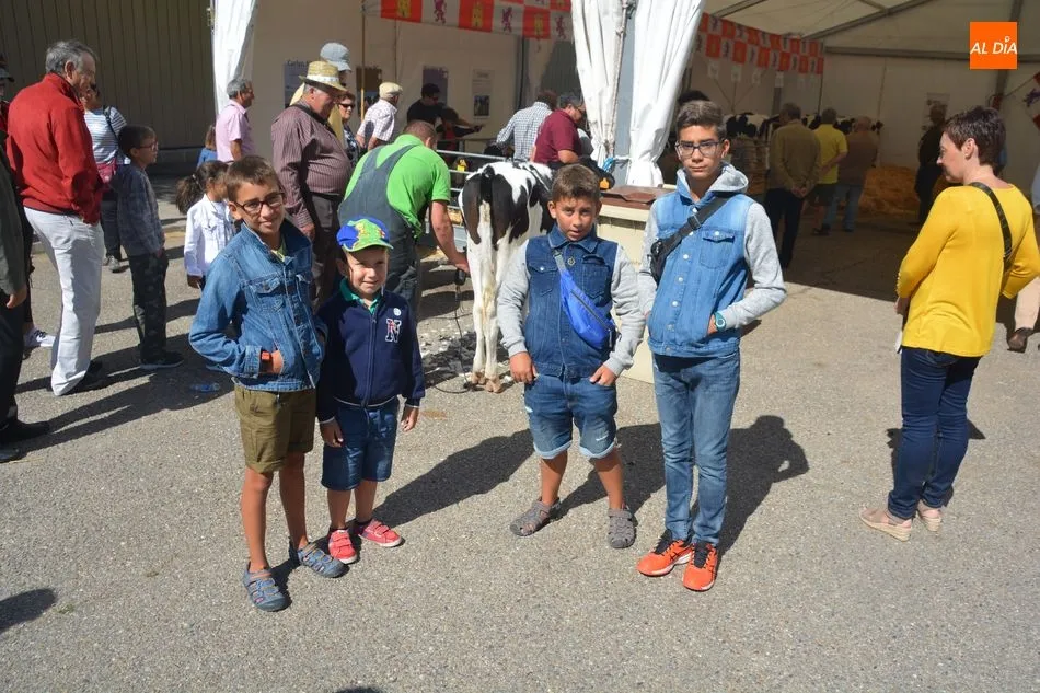 Foto 2 - Las vacas frisonas lucen a&uacute;n m&aacute;s guapas en Salamaq&nbsp;