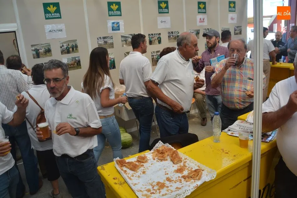 Foto 4 - La segunda jornada de Salamaq, en im&aacute;genes