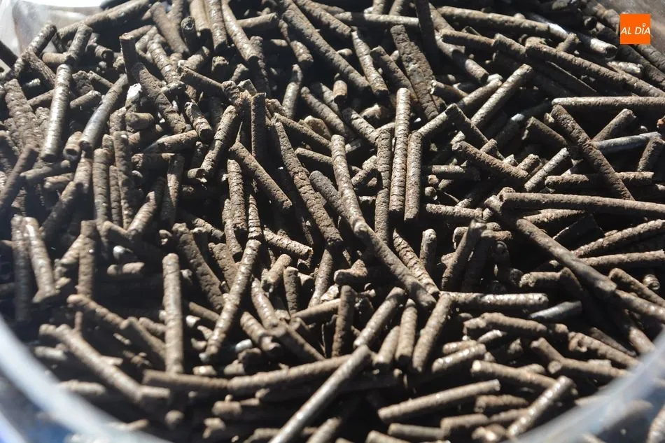 Foto 6 - Componatur, alimento de lo que comemos