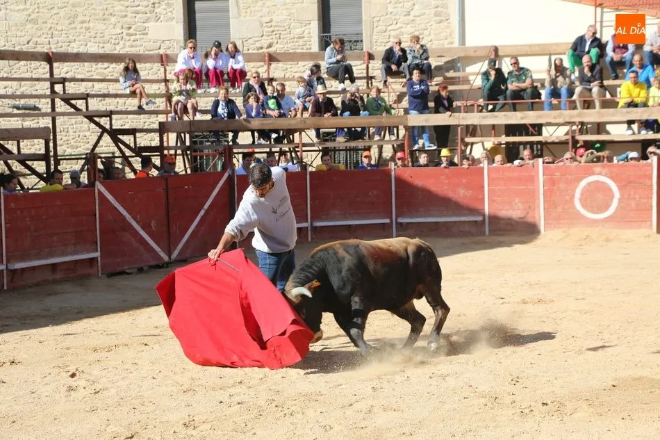 Foto 10 - Entretenido festejo taurino en las calles de Mieza  