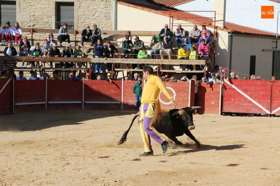 Foto 9 - Entretenido festejo taurino en las calles de Mieza  