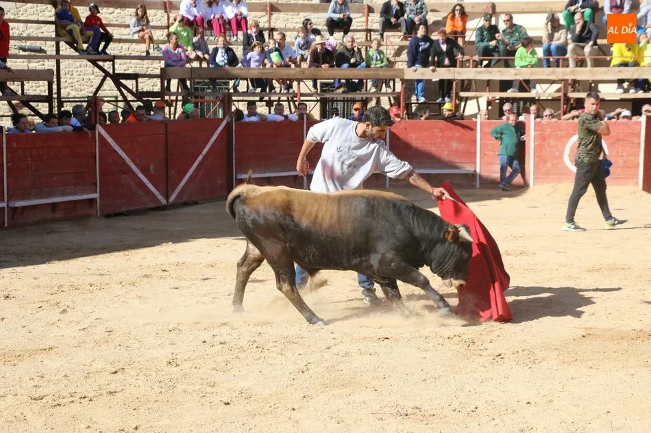 Foto 8 - Entretenido festejo taurino en las calles de Mieza  