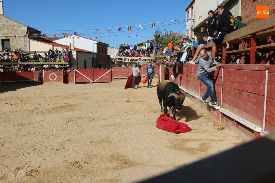 Foto 7 - Entretenido festejo taurino en las calles de Mieza  