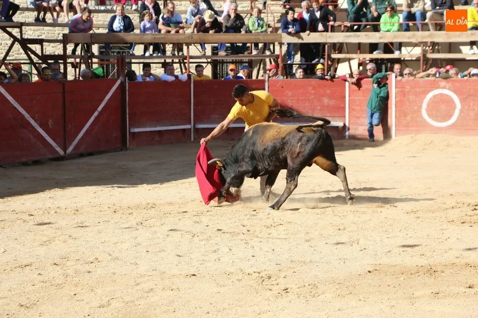 Foto 4 - Entretenido festejo taurino en las calles de Mieza  