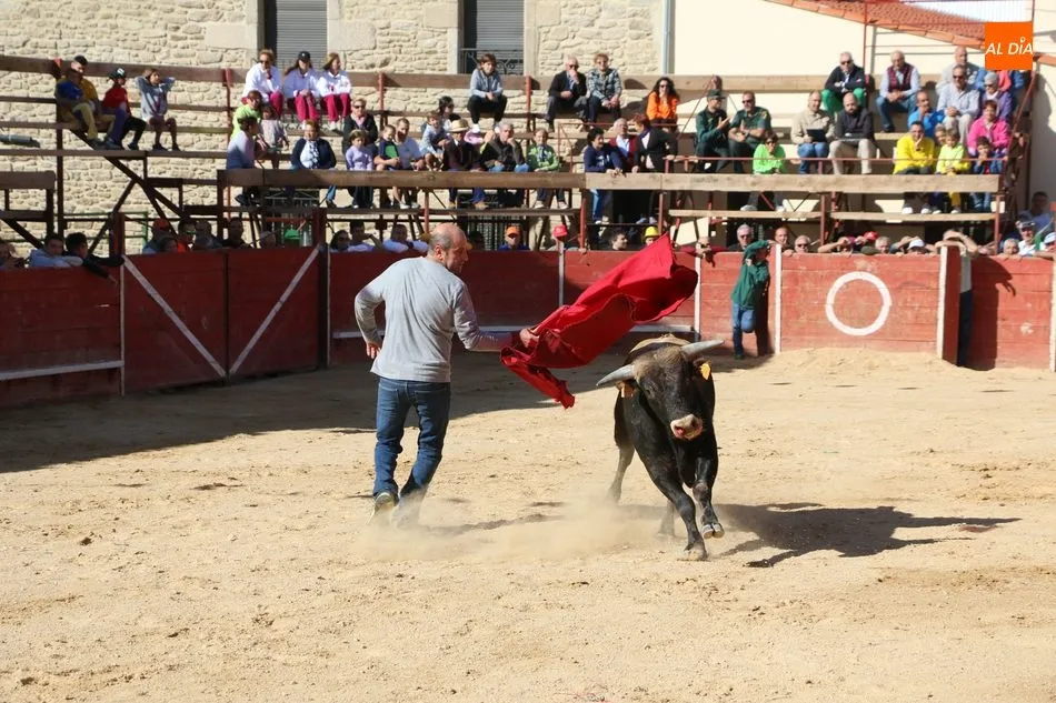 Foto 3 - Entretenido festejo taurino en las calles de Mieza  