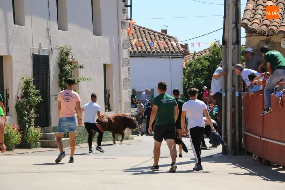 Foto 2 - Buen juego del ganado de Orive en el encierro de Villares de Yeltes  