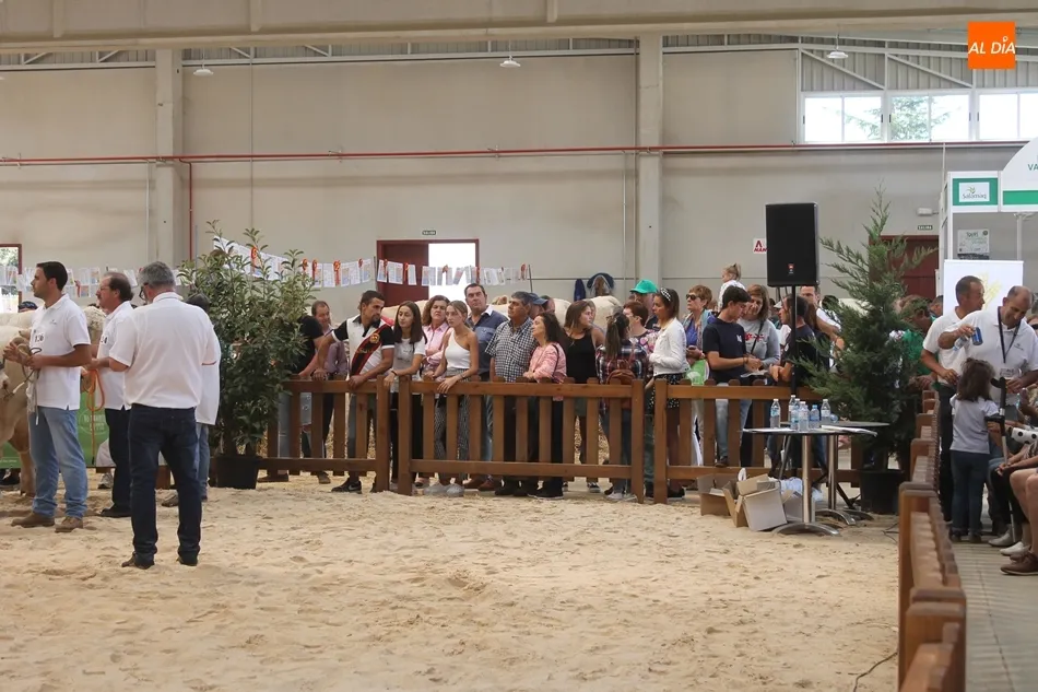Foto 5 - &lsquo;Jacson&rsquo;, del salmantino Alberto Mart&iacute;n, y &lsquo;Jabal&iacute;&rsquo;, del abulense Jorge Chapinal,...