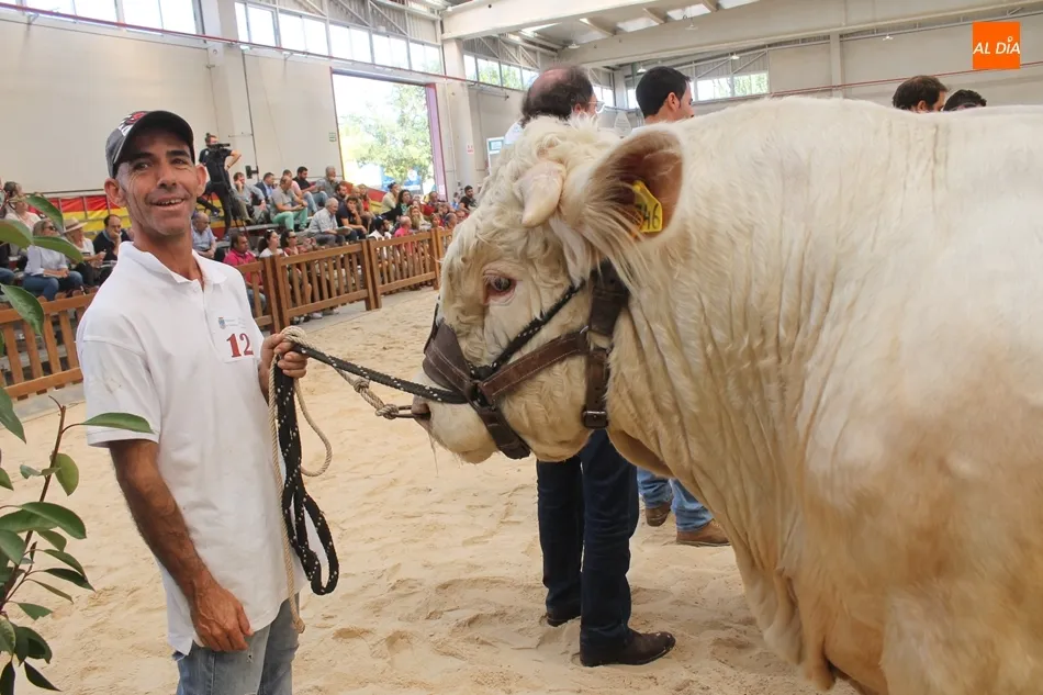Foto 2 - &lsquo;Jacson&rsquo;, del salmantino Alberto Mart&iacute;n, y &lsquo;Jabal&iacute;&rsquo;, del abulense Jorge Chapinal,...