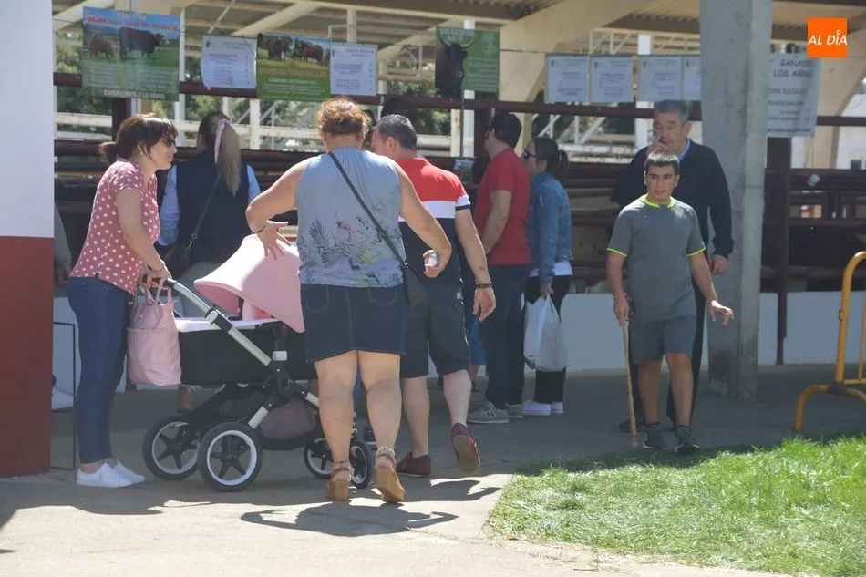Foto 5 - La tercera jornada de Salamaq, en im&aacute;genes