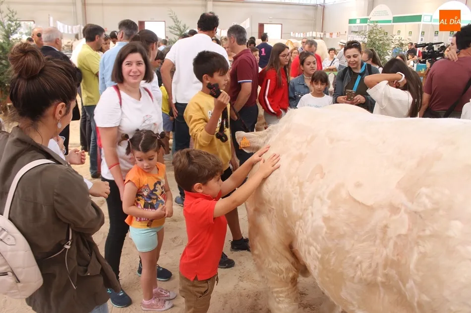 Foto 4 - Un taller para peinar a los animales acerca la raza charolesa a los ni&ntilde;os&nbsp;