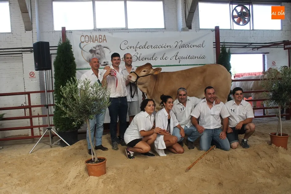 Foto 6 - Resultados del Concurso Nacional de Raza Blonda de Aquitania