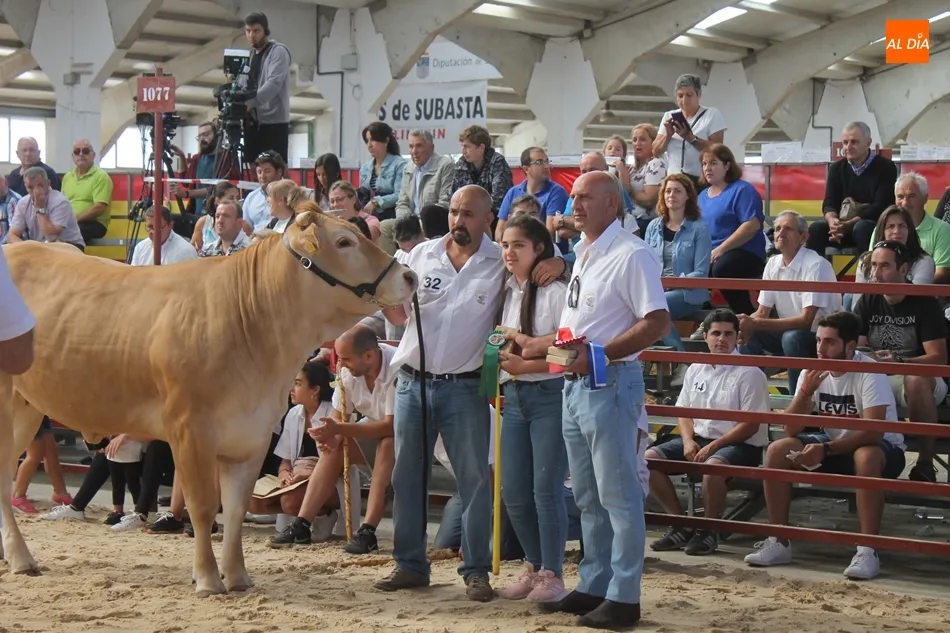 Foto 7 - Resultados del Concurso Nacional de Raza Blonda de Aquitania