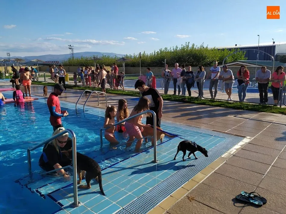 Numerosos vecinos y sus acompañantes peludos disfrutaron de juegos en la piscina de Guijuelo
