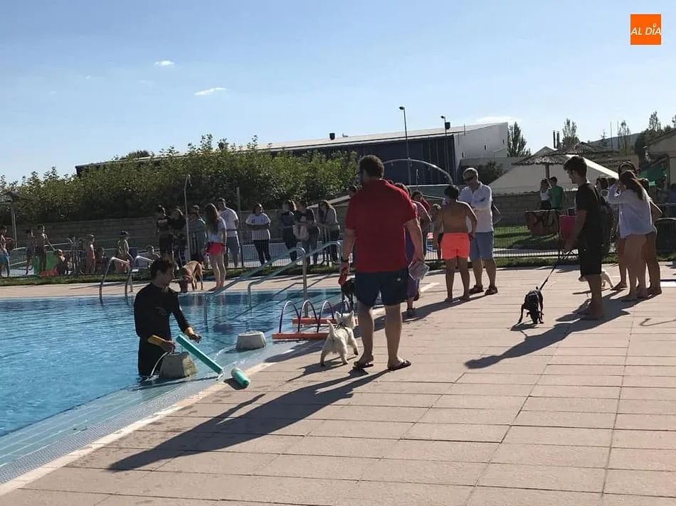 Foto 3 - El taller de juegos caninos pone el cierre a la temporada de ba&ntilde;o