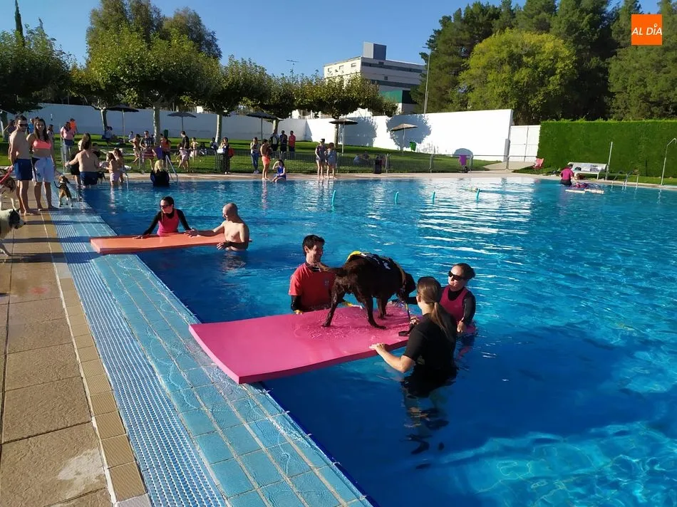 Foto 2 - El taller de juegos caninos pone el cierre a la temporada de ba&ntilde;o