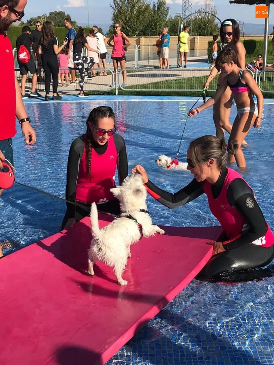 Foto 4 - El taller de juegos caninos pone el cierre a la temporada de ba&ntilde;o