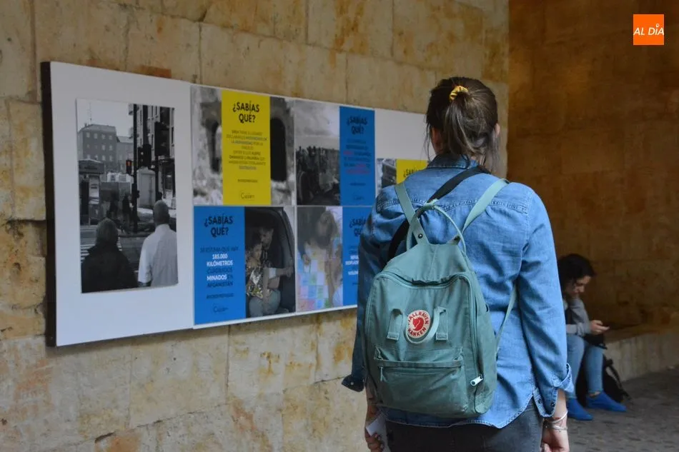 Foto 6 - La Fundaci&oacute;n Cepaim ofrece los detalles de sus nuevas actividades