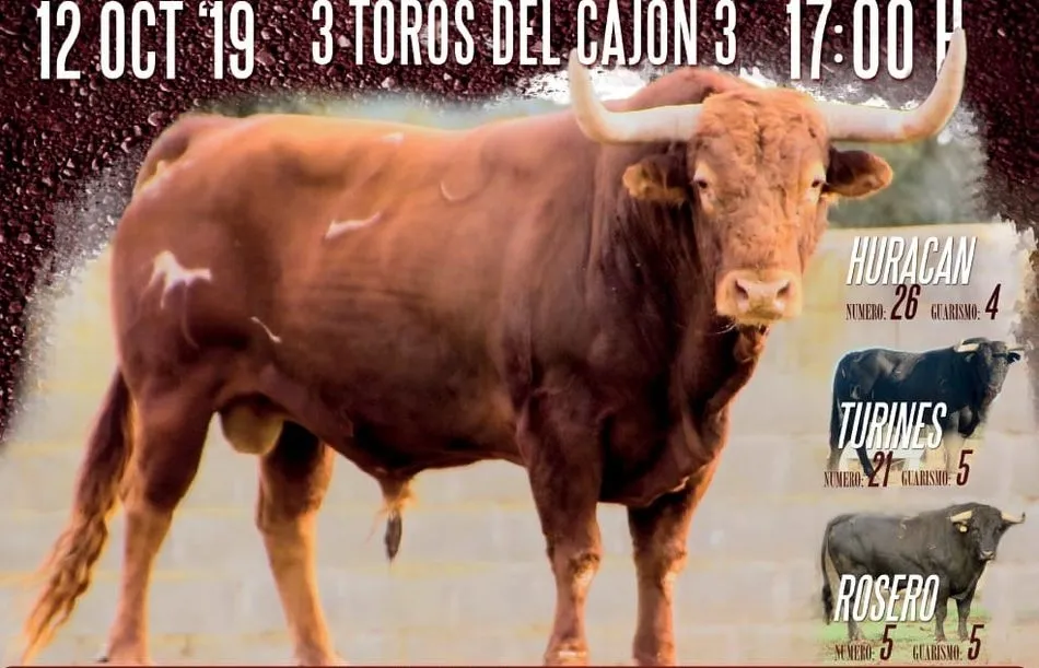 Huracán de la Ganadería El Pilar