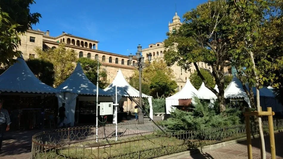 Foto 2 - Quejas de Ciudadanos por la Defensa del Patrimonio por la "ocupaci&oacute;n" de la Plaza de los Bandos