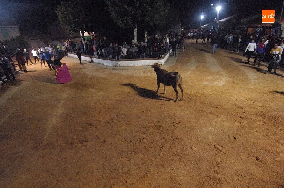 Foto 10 - Las calles de Alba de Yeltes se convierten en un divertido coso taurino