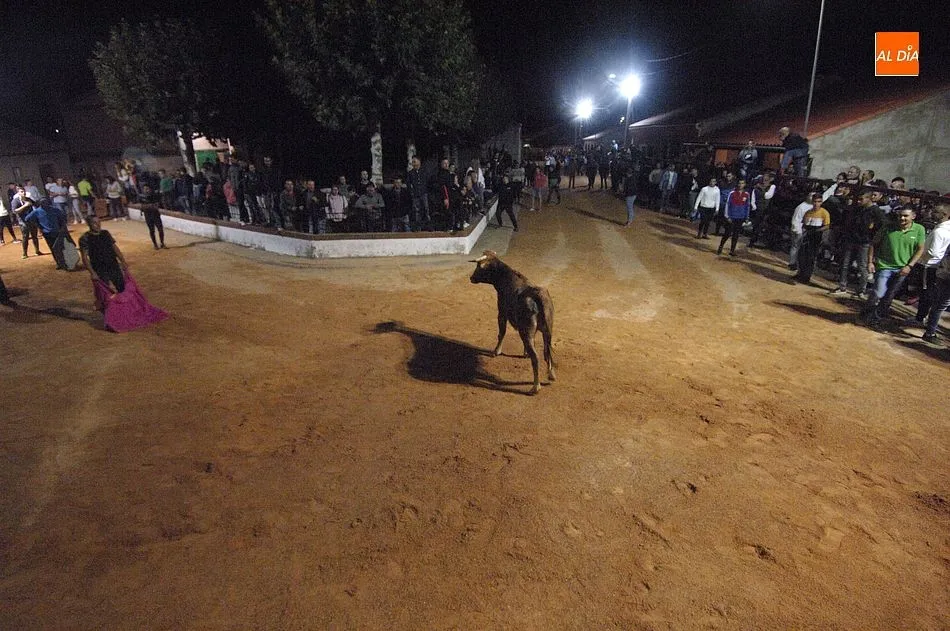 Foto 6 - Las calles de Alba de Yeltes se convierten en un divertido coso taurino