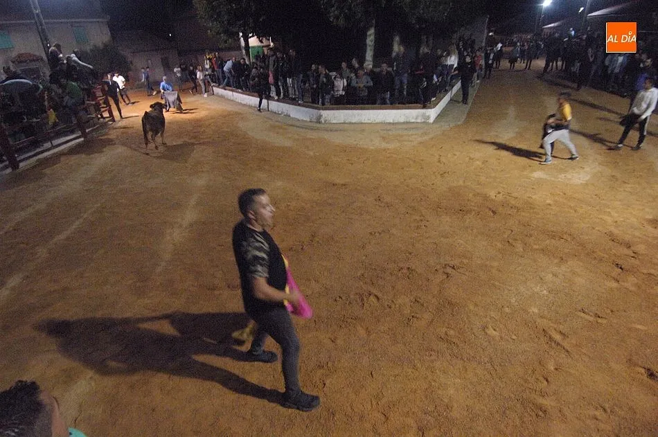 Foto 5 - Las calles de Alba de Yeltes se convierten en un divertido coso taurino
